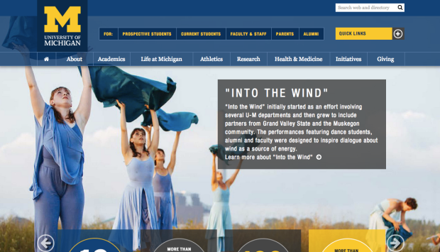 Into the Wind Homepage